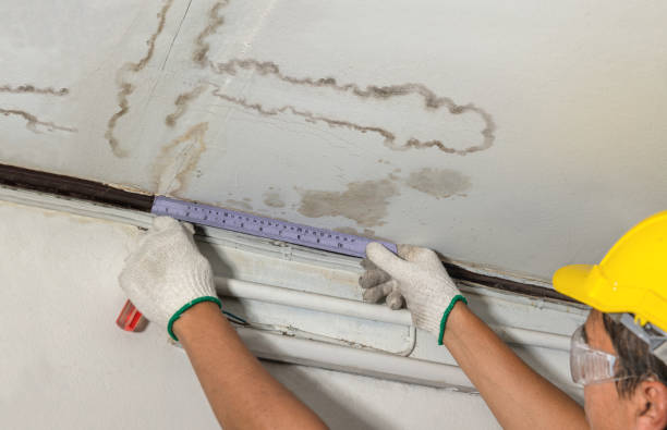 Reliable Water Damage contractor in Prescott, WA by Water Damage Irwin